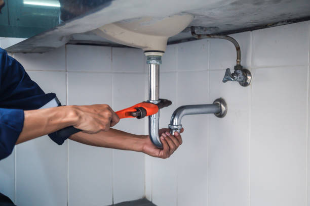 Best Same-Day Plumbing Service  in South Apopka, FL